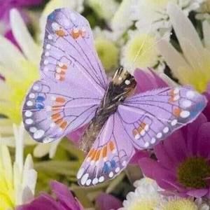 Meet your Posher, Kay